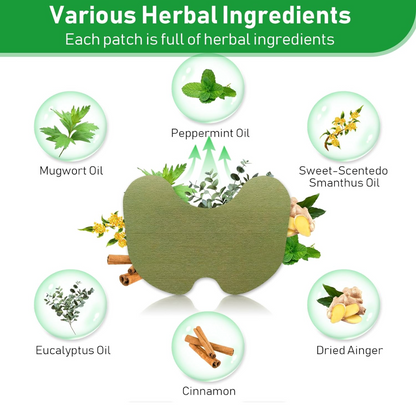 ™ HerbWarm Comfort Patches | Self-Warming Herbal Pain Relief Patches (Pack of 10)